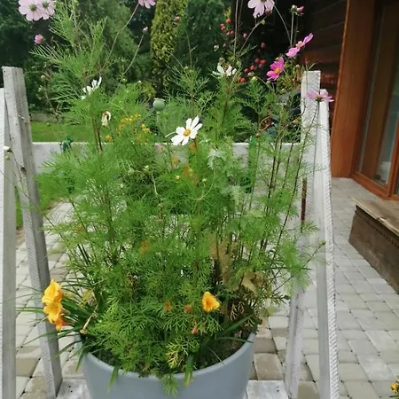 Leona Chalet Gorlice