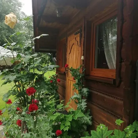 Leona * Gorlice