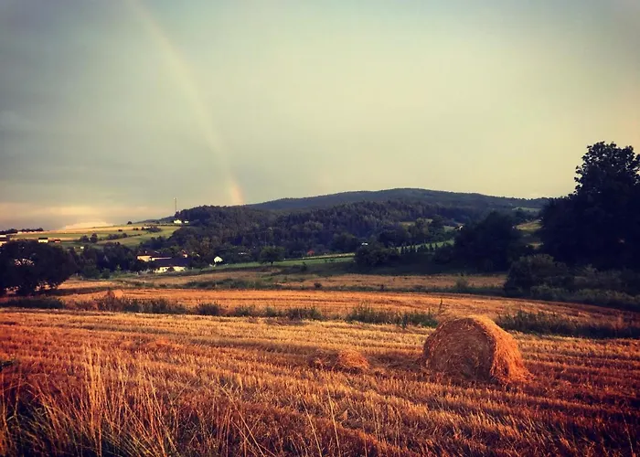 Leona * 고를리체