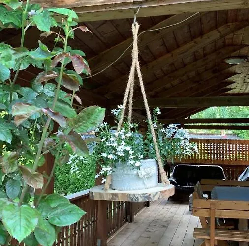 샬레 Leona 고를리체