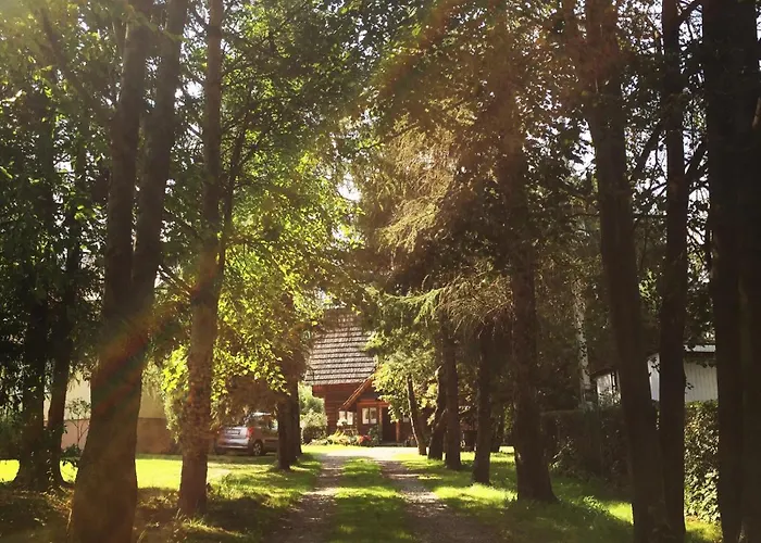 Leona גורליצה